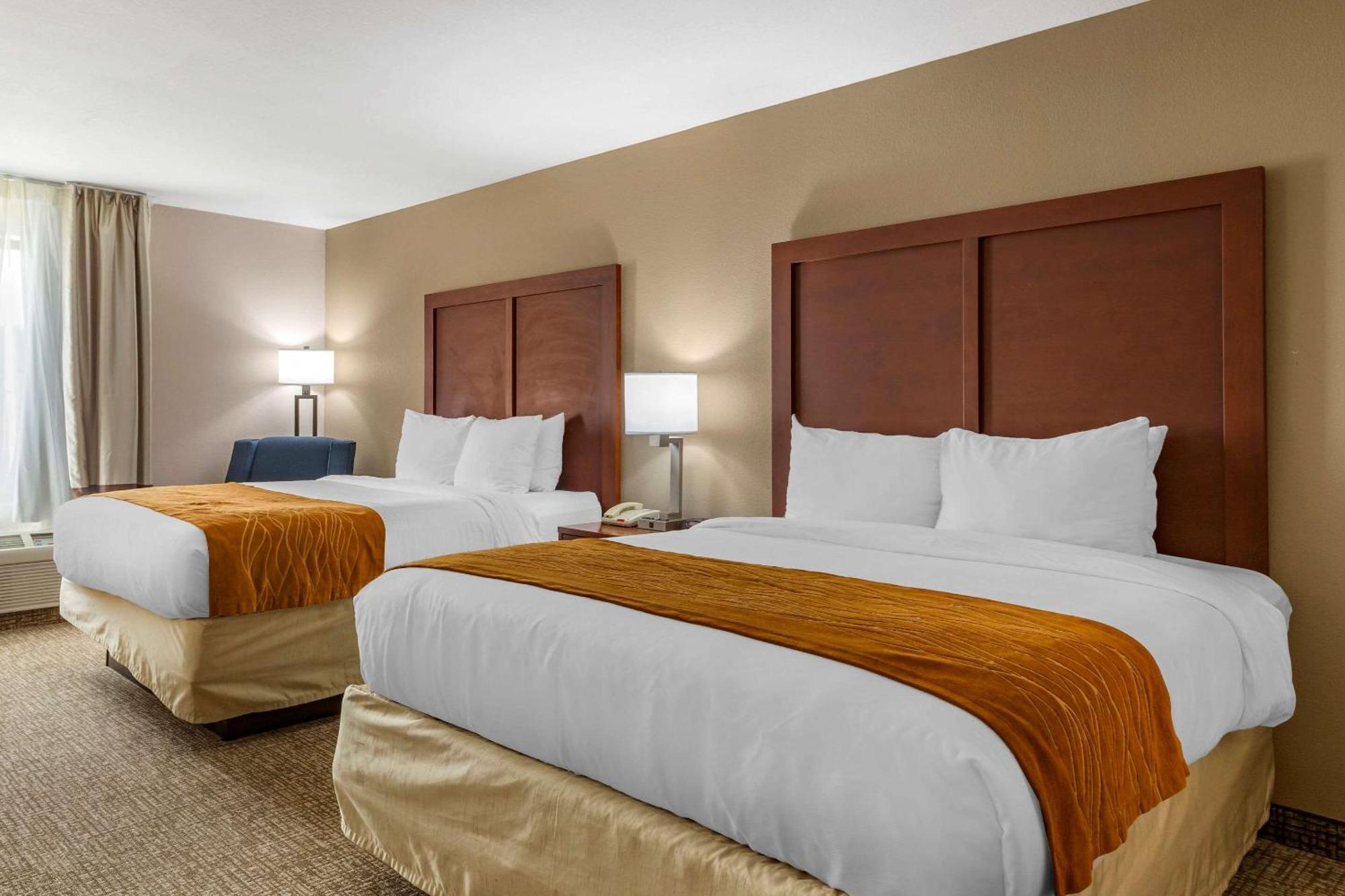 Comfort Inn Smithfield Near I-95 Rum bild